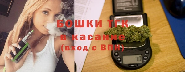 амф Верея