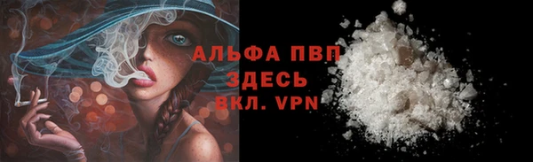 амф Верея