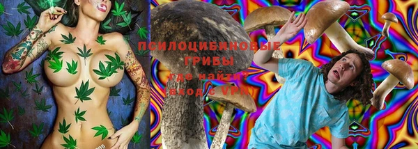 а пвп мука Бронницы